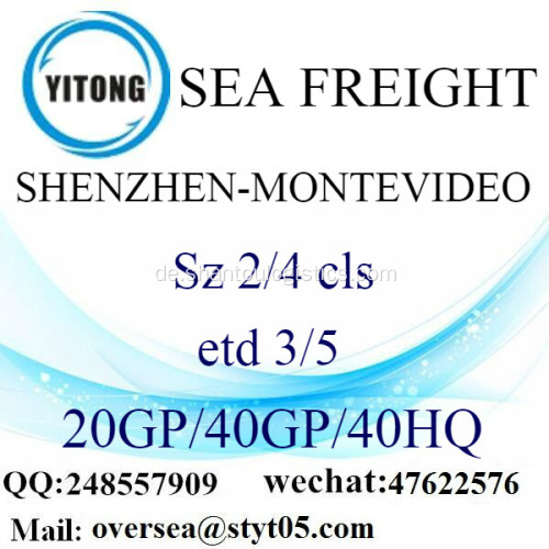 Shenzhen Port Seefracht Versand nach Montevideo
